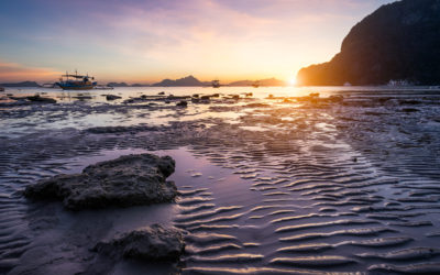 Red Tide And Why Understanding It Matters