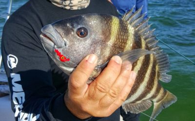 Inaugural Rock the Bay Inshore Fishing Tournament & Festival