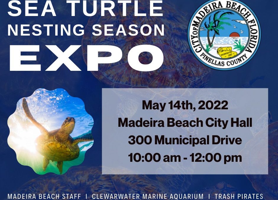 Sea Turtle Nesting Season Expo