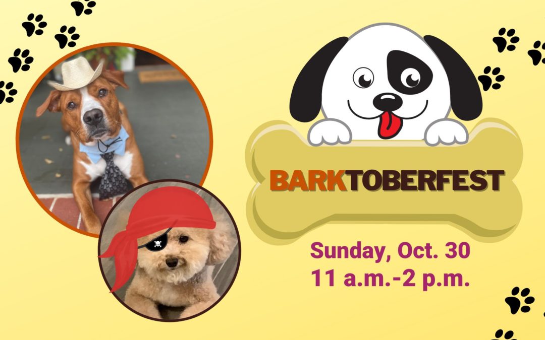 City of Treasure Island Barktoberfest